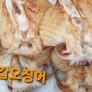 섬마을어부 이미지