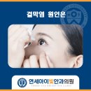 연세아이빛안과의원 이미지