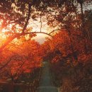 노인미술 이미지