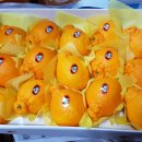 혜숙농장 이미지