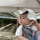 순수농장 | 청도 아기랑 가볼만한 곳 추천, ‘볼빨간 딸기농장’ (근처 유천문화마을까지!)