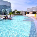 파라다이스스파도고 이미지