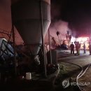 홍천양계 이미지