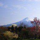 東京の人よさようなら // 歌 ; 島倉千代子 이미지