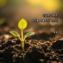 1152 | 사랑 명상 1152