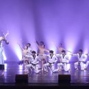 비바츠LED 태권발레 이미지