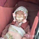 오로라핑크 | 내돈내산 휴대용유모차 잉글레시나 퀴드3 오로라핑크 후기