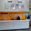 로코연극 <보잉보잉> | 수원 연극, 로맨틱 코메디로 겨울 크리스마스 연말 실내 데이트- 연애하기좋은날