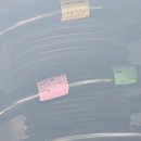 우연카센타 이미지