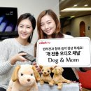 맘앤도그 이미지