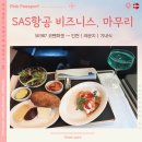 987 | SAS 항공 비즈니스 SK987 후기 🇮🇸아이슬란드 에필로그 #4 - 코펜하겐→인천, 기내식, 라운지, 한국으로