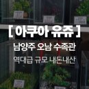 싱싱 | 남양주 수족관 추천 ㅣ 아쿠아유쥬 내돈내산 어항 쇼핑 방문기