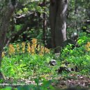 한라수산 이미지