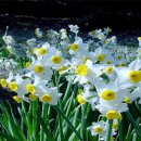 좋은날들 이미지