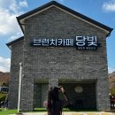 당빛 이미지