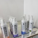 도그하우스 애견미용실 이미지