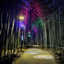 구례의길(섬진강길) 이미지