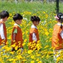 궁전어린이집 이미지