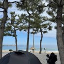 병곡횟집앞화장실 | [강원도캠핑] 양양 죽도야영장 솔직 후기(샤워장, 주차, 화장실 등)