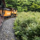 에코랜드 이미지