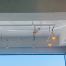 하평농장 이미지