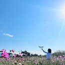 딸기네 민박 이미지