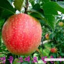 옥골농장 이미지