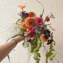 고원 | W13. 제주스냅 부케💐 / 고원 제주 계약 후기 (제주르 제휴)