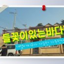 들꽃이 있는 바다 이미지