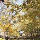 가야산국립공원사무소 이미지