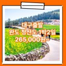 청해모텔 | 대구_완도_1박2일 #청산도 / 대구출발 완도 1박2일 패키지 여행사 / 대구출발