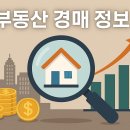 성공적부동산정보와경매 | 📈이 키워드 모르면 손해! 부동산 경매 정보로 수익내는 꿀팁 총정리