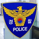 백조사세탁소 중앙일보
