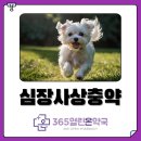 365열린온약국 이미지