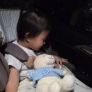 [강원도 평창] 알펜시아 리조트 워터파크 후기, 오션700워터파크, 24개월 아기랑 워터파크, 아기랑 첫...