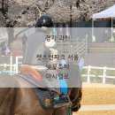 라인댄스 / 강좌번호 21 | 가족 봄나들이는 바로 여기! 2026 렛츠런파크 서울 벚꽃축제 '마시멜로' 다녀온 두서없는 이야기. (2026...