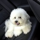 복받은펜션 이미지