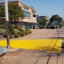 영주초등학교 정문 이미지