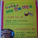 너구리 소굴 이미지