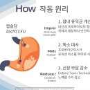 정왕동 애견용품 창고형 할인매장(비제이코리아) | [파격세일] 레나딜 합리적인 가격에 구매 가능합니다! / 레나딜 해외 직배송 냉장포장완료!