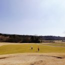 제주돌체 네이버블로그