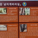죽림서정이네 네이버블로그