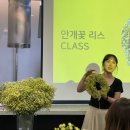 신기리스 이미지