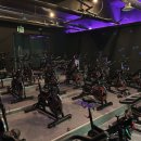 머슬 라운지 이미지