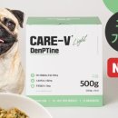 브라이트 독 이미지