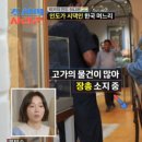럭키투어 - 고양시 덕양구 | 럭키투어