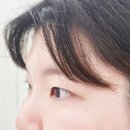 문정고등학교 문정근린공원앞 | 처음 해본 속눈썹펌 케라틴 듬뿍 LC펌 ✨️ 문정역 러빙미유래쉬 방문 후기