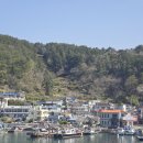 욕지일주로가로수 | 통영 욕지도 펜션 가성비 숙소 추천