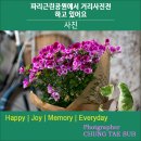파리근린공원 이미지