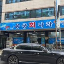 참가자미나라